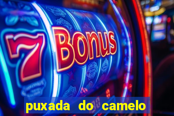 puxada do camelo jogo do bicho